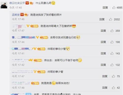 娱乐吃瓜酱语音评论